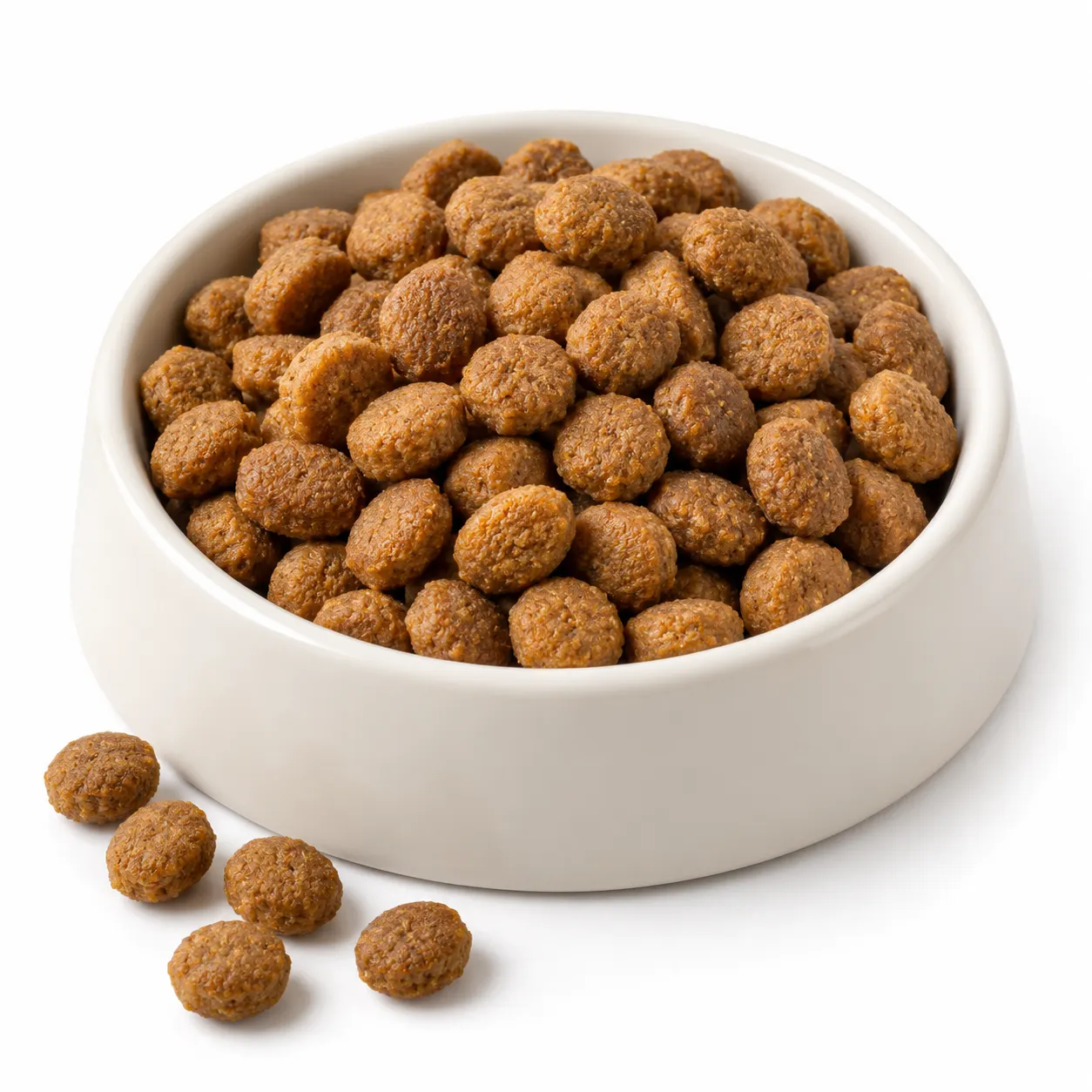 NATUURIS Adult Dog — Chicken & Rice Dry Food, 3 kg — food close-up